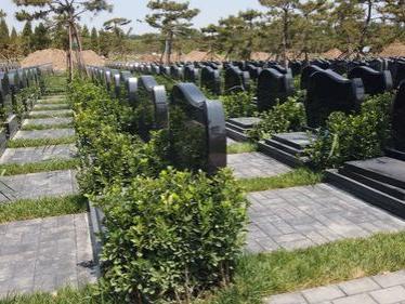 天津津莱公路西园公墓（天津津莱公路西园公墓的建设历程如何）