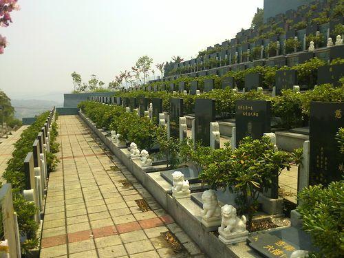 天津西园公墓地址的导航怎么设置？（天津西园公墓地址的导航如何设置？）