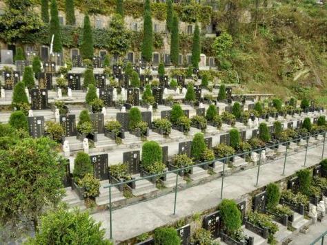 天津西园公墓地址附近有没有公园？（天津西园公墓地址附近有没有公园？）