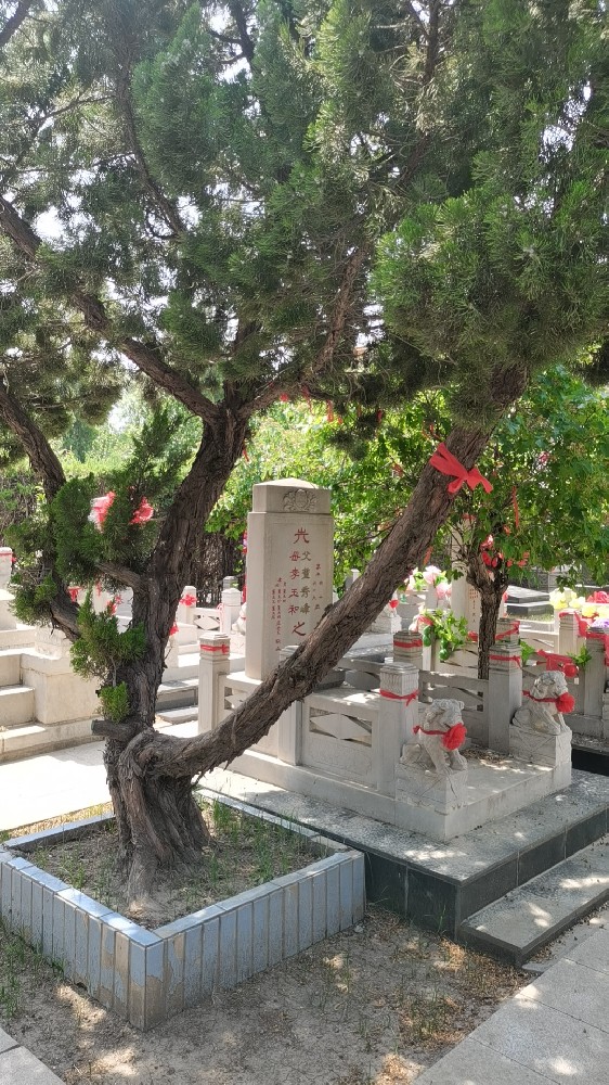 西园公墓--西青西园公墓自然的和谐美